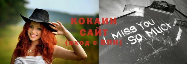 ПСИЛОЦИБИНОВЫЕ ГРИБЫ Михайлов
