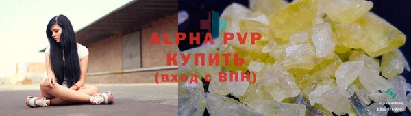 ПСИЛОЦИБИНОВЫЕ ГРИБЫ Михайлов