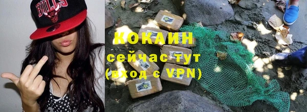 ПСИЛОЦИБИНОВЫЕ ГРИБЫ Михайлов
